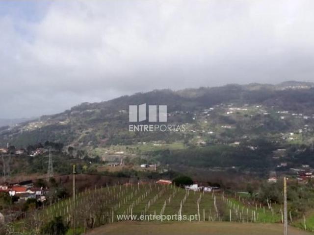 Casa venda em Cinfães, Viseu