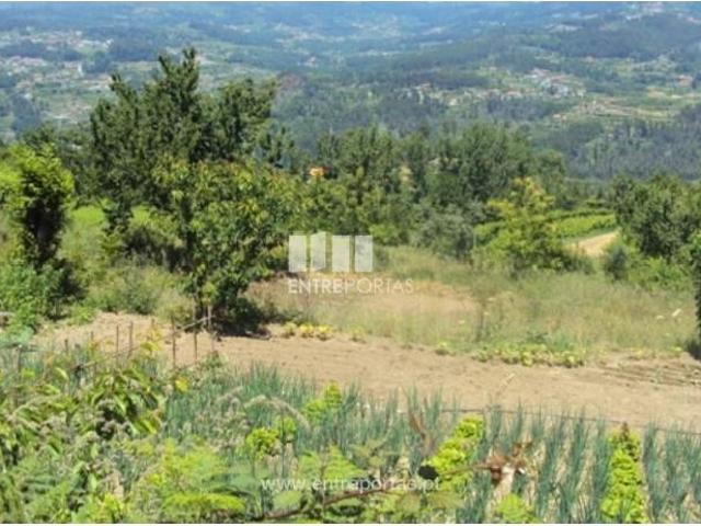 Casa venda em Tarouquela, Viseu