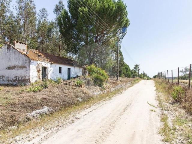 Casa venda em Coruche, Santarém