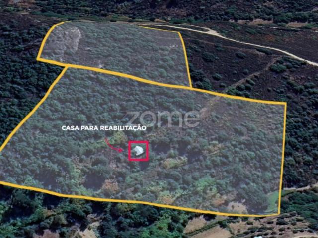 Terreno venda em Guarda, Fornos De Algodres