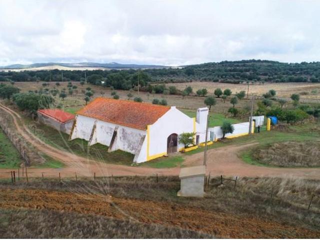Terreno venda em Fronteira, Portalegre