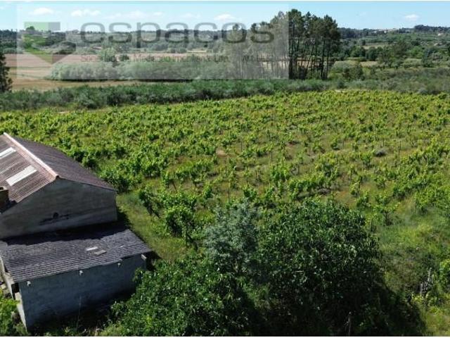 Terreno venda em Castelo Branco, Aldeia Nova Do Cabo