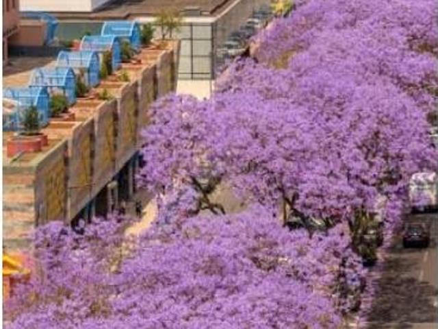 Apartamento venda em Lisboa