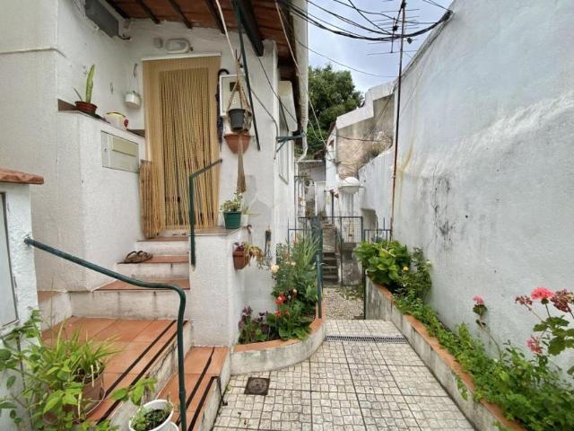 Casa alugar em Campo de Ourique, Lisboa