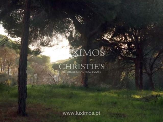 Casa venda em Loulé, Faro