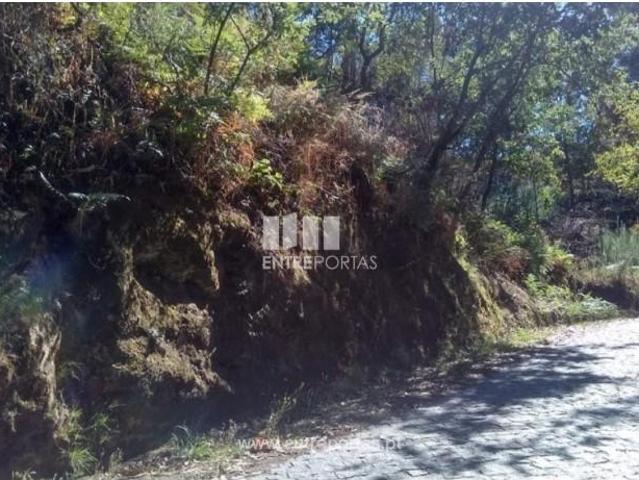 Casa venda em Rio de Galinhas, Marco De Canaveses