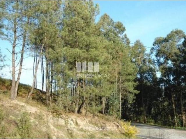 Casa venda em Vale da Estrada, Banho E Carvalhosa