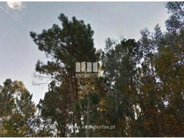 Casa venda em Rio de Galinhas, Marco De Canaveses