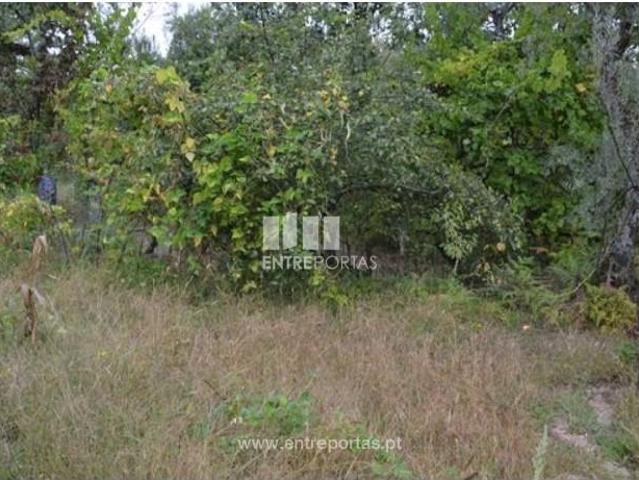 Casa venda em Rio de Galinhas, Marco De Canaveses