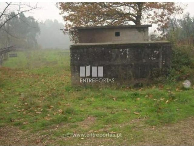 Casa venda em Várzea do Douro, Várzea