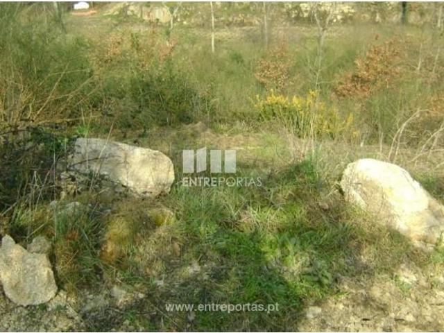 Casa venda em Rio de Galinhas, Marco De Canaveses