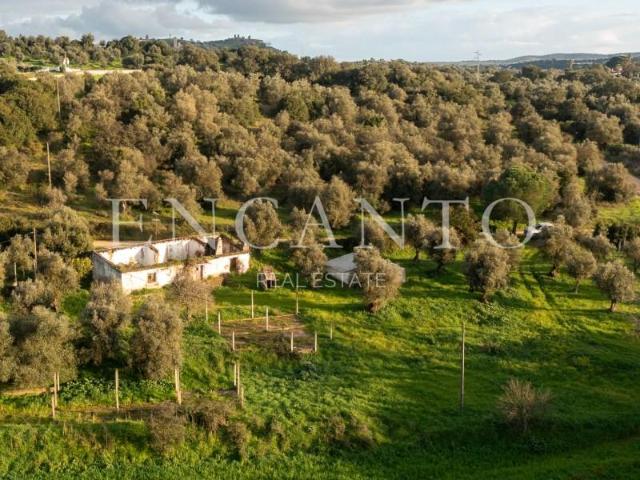 Terreno venda em Montemor-o-novo, Évora