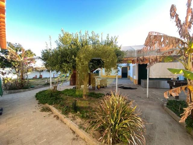 Casa venda em Mora, Évora