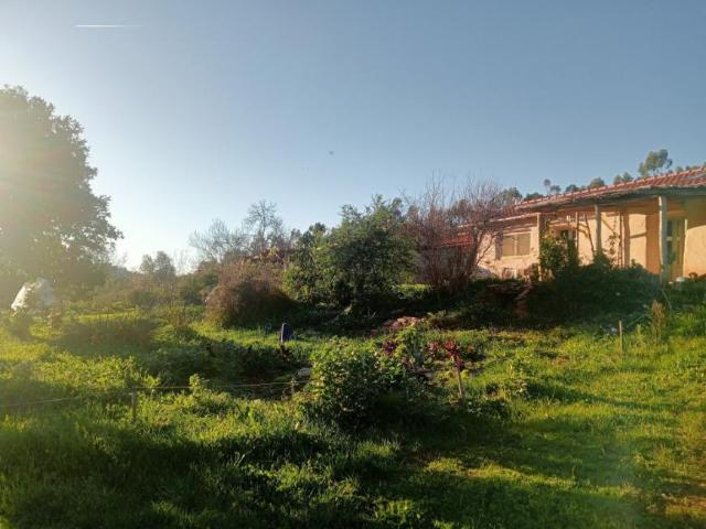 Casa alugar em Odemira, Relíquias