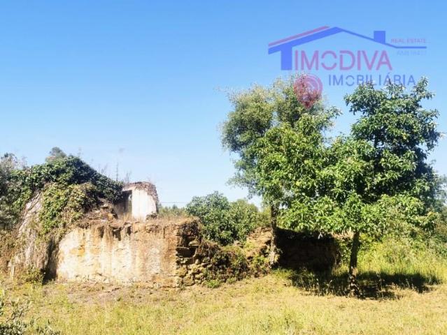 Casa venda em Pedrógão Grande, Leiria