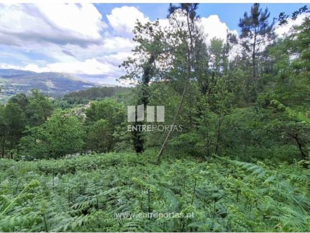 Casa venda em Grovelas São João Evangelista, Viana Do Castelo