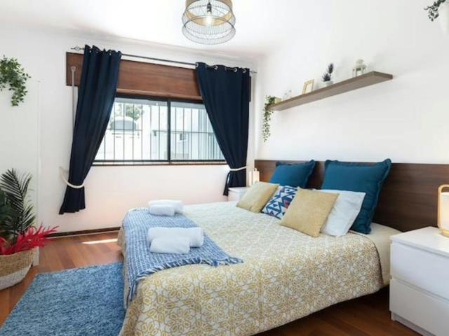 Apartamento alugar em Porto, Cedofeita