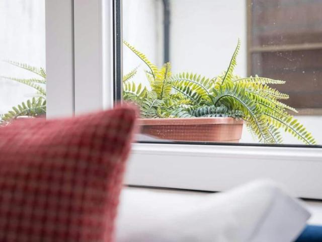 Apartamento alugar em Porto, Cedofeita