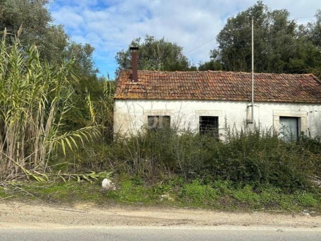 Terreno venda em Santarém