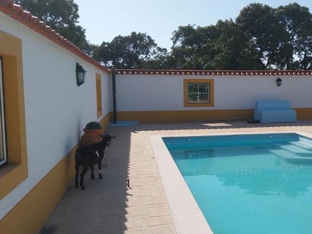 Room alugar em Fátima, Casa Velha