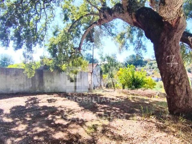 Casa venda em Santarém