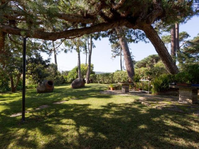 Casa alugar em Pinhal da Nazaré, Colares