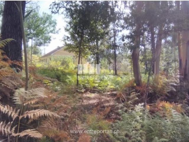 Casa venda em Belêlo, Viana Do Castelo
