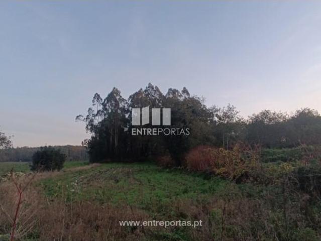 Casa venda em Vila Do Conde, Porto