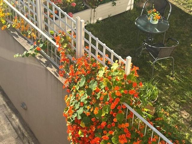 Apartamento alugar em Devesas, Vila Nova De Gaia