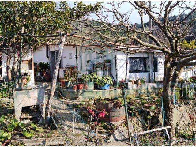 Terreno venda em Afonsim, Vila Real