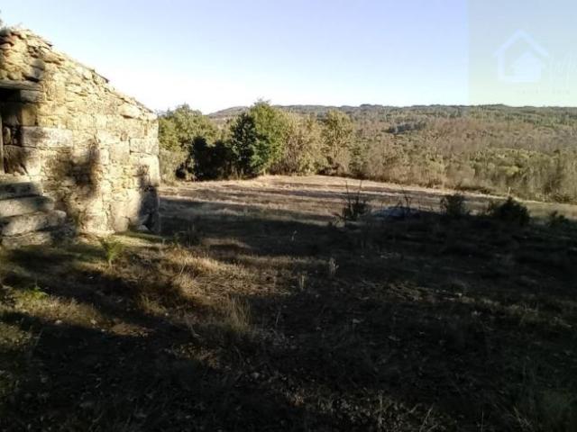 Casa venda em Penalva Do Castelo, Viseu