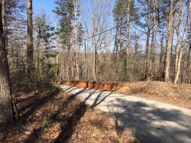 Land for sale in Gilmer, Georgia