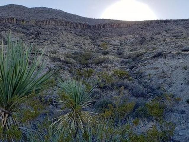 Farm for sale in Brewster, Texas