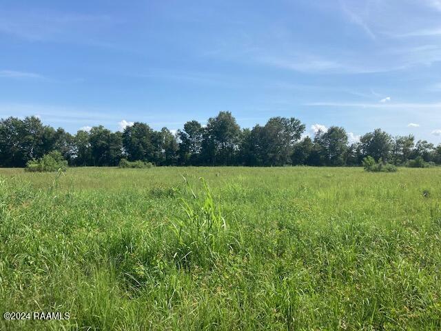 Land for sale in Eunice, Louisiana