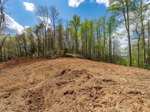 Land for sale in Tennessee