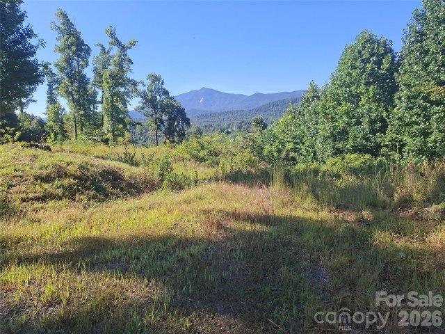 Land for sale in Green Mountain, Yancey County