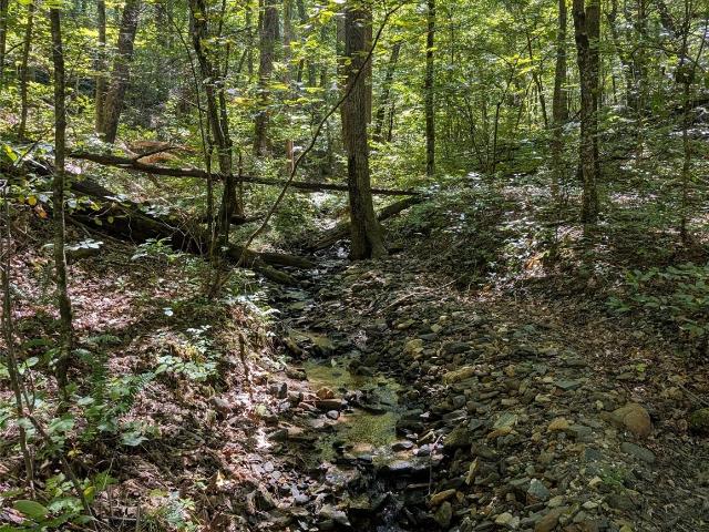 Land for sale in Saluda, North Carolina
