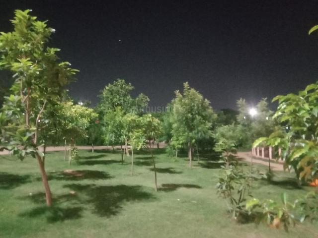 Flat for rent in Rajasthan