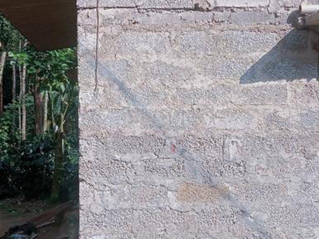 Flat for rent in Mercara, Karnataka