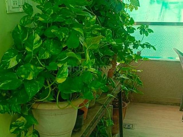 Flat for rent in Pink City, Jetpur