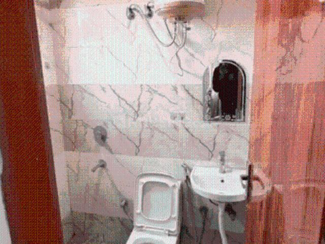 Flat for rent in Hariana