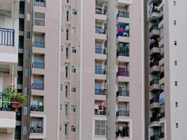 Flat for rent in Rajasthan