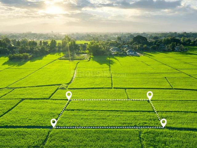 House for sale in Madya