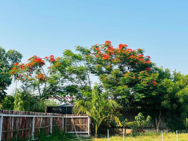 House for sale in Greater Noida - Delhi, Arunachal Pradesh