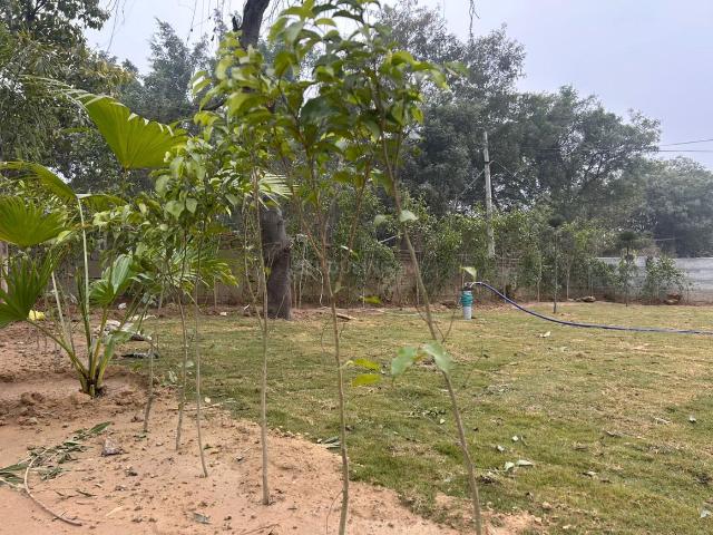 House for sale in Hariana