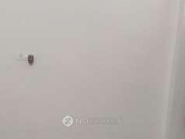 Flat for rent in Bahlolpur, Arunachal Pradesh