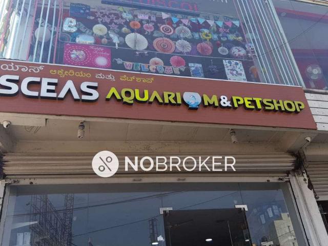 Flat for rent in Bangalore North, Cox Town - Bangalore