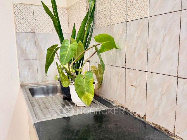Flat for rent in Bangalore North, Cox Town - Bangalore