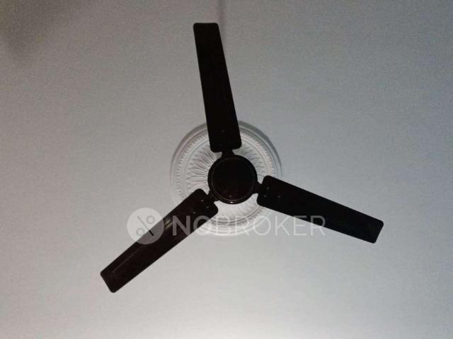 Property for rent in Haidarabad, Telangana