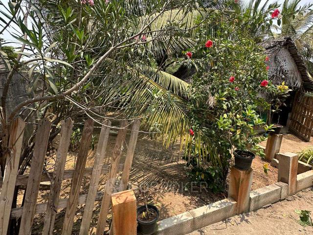 House for sale in Alinjivakkam, Tamil Nadu
